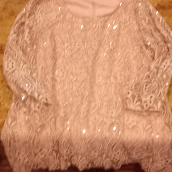 Coral Bay, Koret, C'Lean, And Others Assorted Blouse 👚 Lot Size Large - Picture 12 of 12